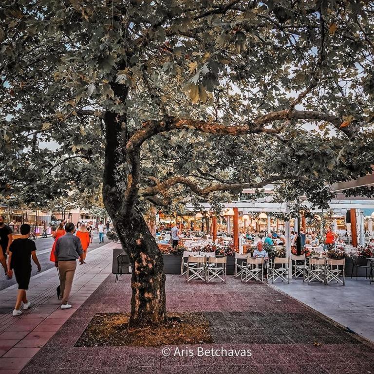 Nafpaktos Old Town Διαμέρισμα Εξωτερικό φωτογραφία